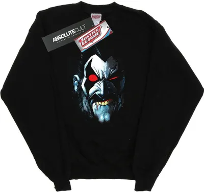 Produktbild von DC Comics - Sweatshirt für Herren BI29379 (XXL) (Schwarz)