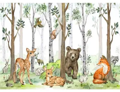 Produktbild von Fototapete Vlies FT5P 3093-058 Tiere Wald grün 375 x 270 cm
