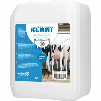 Produktbild von Ice Mint Bulkverpackung inkl. Dosator