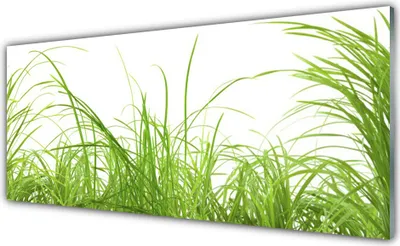 Produktbild von Küchenrückwand aus Glas 125x50cm Spritzschutz Gras Natur
