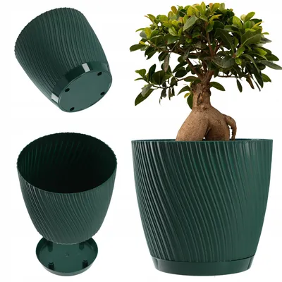 Imagen del producto de Kadax, maceta redonda con plato, color verde, 15 cm