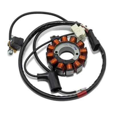 Produktbild von Piaggio Ankerplatte Zündgrundplatte B016543 kompatibel mit Liberty 125 3 V