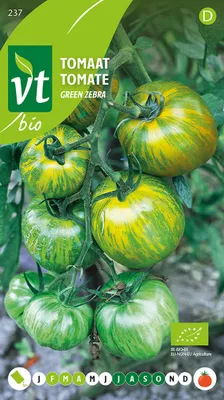 Obrázok produktu pre Tomate Green ZebraTogether - cca 0,2 gr | VT_237
