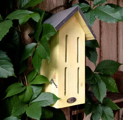 Produktbild von Schmetterlingskasten, Schmetterlingshotel Insektenhotel der Schmetterlinge
