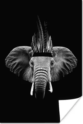 Produktbild von MuchoWow® Poster Elefant mit indischen Käfig vor schwarzem Hintergrund - schwarz und weiß 60x90 cm - Wanddekoration