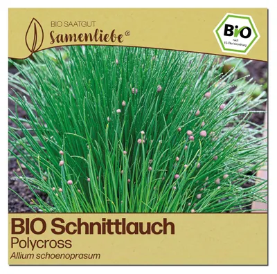 Produktbild von Samenliebe  Schnittlauch Samen | Polycross - winterhart & mehrjährig & aromatisch - samenfestes  Saatgut
