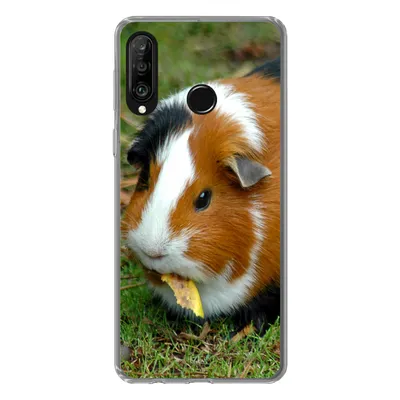 Produktbild von MuchoWow® Handyhülle Schutzhülle Hülle für Huawei P30 Lite Meerschweinchen draußen Silikon Softcase Handy Hülle - Handyhülle