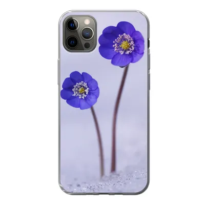 Produktbild von MuchoWow® Handyhülle Schutzhülle Hülle für iPhone 12 Pro Max Blumen - Schnee - Lila Silikon Softcase Handy Hülle - Hartschale