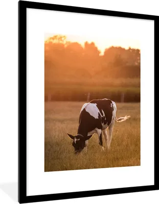 Produktbild von MuchoWow® Gerahmtes Poster Kuh - Sonne - Tiere 60x80 cm - Poster mit Schwarzem Bilderrahmen Wandposter Rahmen Foto Bilder - Wohnzimmer - Dekorationen - Prämie