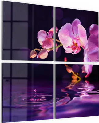Produktbild von DEQORI Glasbild Echtglas 4x50x50 cm 'Orchideenblütenzweig' Wandbilder XXL groß
