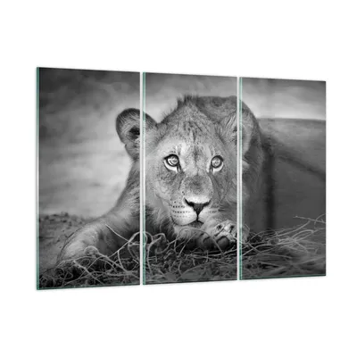 Produktbild von Bilder auf glas - 3 Teile - Löwe asiatisch Porträt - 105x70cm - Glasbilder - Wandbilder - Bilder - zum Aufhängen bereit - Wanddekoration aus Glas - Glas Bilder - Wandbild auf Glas - GCE105x70-4840