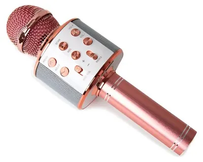 Produktbild von WSTER WS-858 Karaoke bluetooth Mikrofon rosa