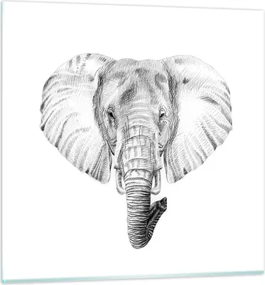 Produktbild von Bilder auf glas - Elefant Afrika Illustration Kinder - 30x30cm - Glasbilder - Wandbilder - Kunstdruck - zum Aufhängen bereit - Wanddekoration aus Glas - Glas Bilder - Wandbild auf Glas - GAC30x30-3213