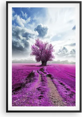 Produktbild von Gerahmtes Poster - Schwarzer Rahmen - Heidefeld Baum Wolken Landschaft - 61x91,5 cm - Wand Bild - Wanddeko - Wandbilder - Wandposter - Bilderrahmen - Bilder - Kunstdruck - Wandbild - P2BPA61x91-2547