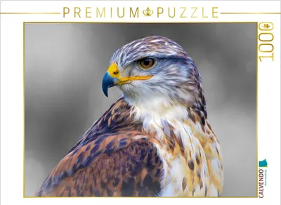 Produktbild von CALVENDO Puzzle Königsrauhfußbussard | 1000 Teile Lege-Größe 64x48cm Foto-Puzzle für glückliche Stunden