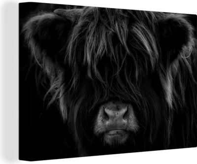 Produktbild von OneMillionCanvasses® - Leinwandbilder - 150x100 cm, Schottisches Hochlandrind - Kuh - Porträt - Tiere - Schwarz - Weiß, Wandbilder Kunstdruck Wanddekoration - Foto auf Leinwand -
