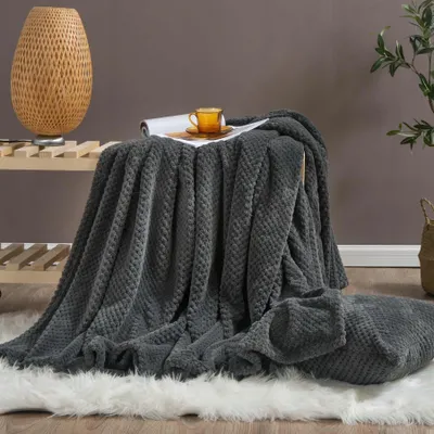 Produktbild von Graue Weiche Decke Bettdecke Mikrofaser Couch Decke Monte 200X220