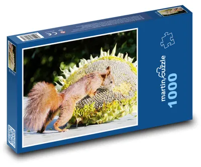 Obrázok produktu pre Puzzle 1000 Veverička a Slnečnica - martinpuzzle