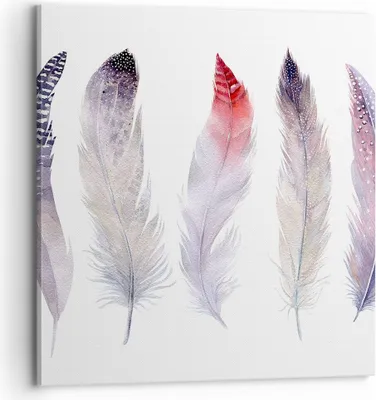 Produktbild von Bild auf Leinwand - Leinwandbild - Feder Tier Vogel Komposition - 70x70cm - Wand Bild - Wanddeko - Leinwanddruck - Bilder - Kunstdruck - Wanddekoration - Leinwand bilder - Wandkunst - AC70x70-2951