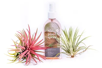 Produktbild von Gardners' Düngemittel für Tillandsien
