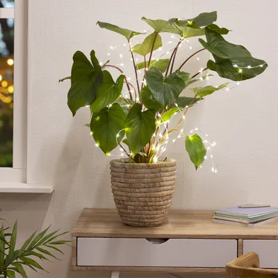Obrázek produktu pro Solární mikro LED osvětlení pro rostliny