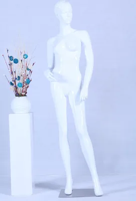 Obrázek produktu pro Abstraktní barva pleti v lesku EH12-B stojící figurína bílá elegantní módní modelovaný účes ..