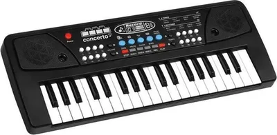 Obrázek produktu pro Varhany REIG 37 kláves + mikrofon