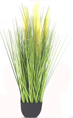 Produktbild von Dekopflanze 95cm Ufergras im 18cm Topf Binsengras Kunstgras Dekogras Gräßer