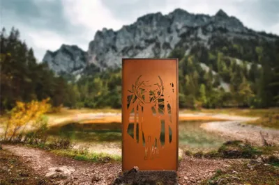 Produktbild von Sichtschutzwand Wald 100 x 200 cm rost