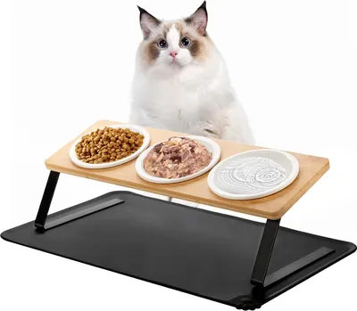 Produktbild von Erhöhte Set von 3 keramischen Futterstationen mit 15° geneigtem Futteruntersetzer, Silikon-Futterschale und Wasserschale für Katzen und kleine Hunde