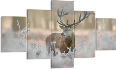 Produktbild von Bild auf Leinwand - Leinwandbild - Hirsch Wald Natur - 125x70cm - Wand Bild - Wanddeko - Wandbilder - Leinwanddruck - Bilder - Kunstdruck - Wanddekoration - Leinwand bilder - Wandkunst - EA125x70-3744