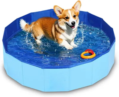 Produktbild von Hundepool faltbar 50 x 8 cm, mit Ablassventil, PVC, für Garten