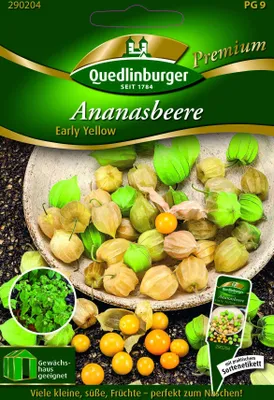 Produktbild von Ananasbeere Early Yellow | Beerensamen von Quedlinburger