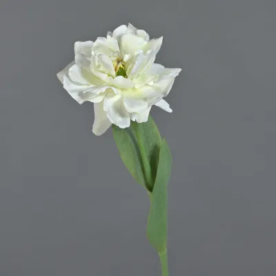 Produktbild von artplants.de Kunstblumen Papageien Tulpe Stefanie, weiß-grün, 65cm, Ø7cm - Künstliche Tulpe