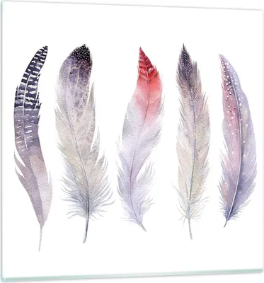 Produktbild von Bilder auf glas - Feder Tier Vogel Komposition - 60x60cm - Glasbilder - Wandbilder - Kunstdruck - zum Aufhängen bereit - Wanddekoration aus Glas - Glas Bilder - Wandbild auf Glas - GAC60x60-2951