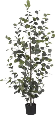Produktbild von Mica Decorations Eucalyptus Kunstpflanze in Blumentopf - H150 x Ø30 cm - Grün