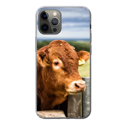 Produktbild von MuchoWow® Handyhülle Schutzhülle Hülle für iPhone 13 Pro Schottischer Highlander - Berg - Zaun Silikon Softcase Handy Hülle - Handy-Tasche