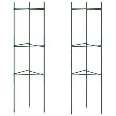 Produktbild von vidaXL Tomatenkäfig 2 Stk. 116 cm Stahl und PP