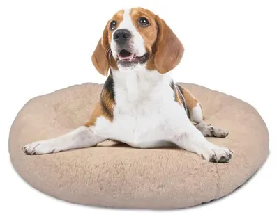 Productafbeelding van Mediashop Peaceful Pooch S - Pluizig hondenbed en kattenbed - geschikt voor honden met gewrichtsproblemen