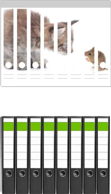 Produktbild von Wallario 8 Stück schmale Ordner inkl. Klebeetiketten mit Motive Katze und Maus beim Spielen - weißer Hintergrund -  Set mit Rückenschildern / Ordnerrücken Stickern