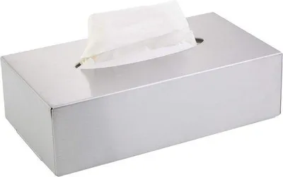 Produktbild von Famanu Tissuebox aus Edelstahl - Wandmontierbar, 24,5 x 13 x 7 cm, Silber