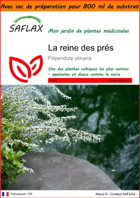 Image de SAFLAX Garden in the bag - La reine des prés - 500 graines - Filipendula
