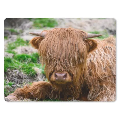 Produktbild von MuchoWow® Mauspad Mousepad Schottischer Highlander - Heu - Gras 23x19 cm - Mousepads - Maus Mat - Pad - Mausunterlage - Schreibtischunterlage - Mauspad