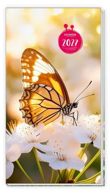 Produktbild von TRÖTSCH - Taschenterminer Schmetterling 2027