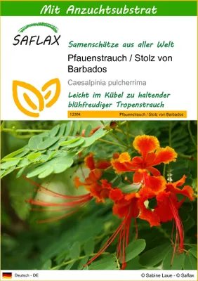 Produktbild von SAFLAX - Pfauenstrauch / Stolz von Barbados - Caesalpinia pulcherrima - 10 Samen - Mit keimfreiem Anzuchtsubstrat