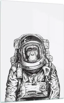 Produktbild von Bilder auf glas - Einteilig - Schimpanse Astronaut Zeichnung - 50x70cm - Glasbilder - Wandbilder - Bilder - Wanddekoration aus Glas - Glas Bilder - Wandbild auf Glas - GPA50x70-4312