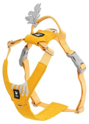 Produktbild von Hurtta Hundegeschirr Seeker Harness honey, Verstellmöglichkeit: 55-70 cm