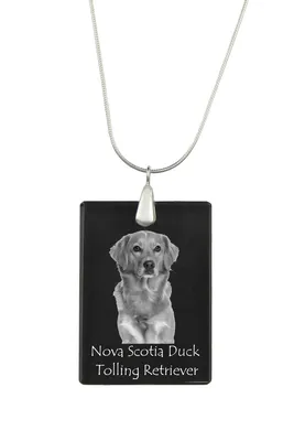 Obrázok produktu pre Novoškotský kačací tolling retriever - Krištáľový prívesok so psom, strieborný náhrdelník s fotografiou, personalizovaný prívesok značky Art-Dog