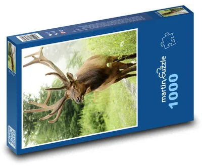 Obrázek produktu pro martinpuzzle - Puzzle 1000 - Jelen - divoká zvěř