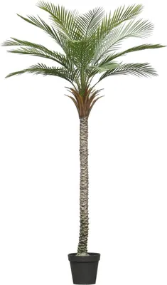 Produktbild von artplants.de Deko Phönixpalme ZOLTER, crossdoor, 210cm - Künstliche Dattelpalme